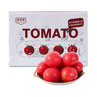 斐宇兄弟 烟台普罗旺斯西红柿精选自然熟新鲜农家沙瓤番茄4.5-5斤