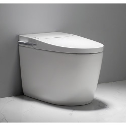 grohe 高仪 艾吉娜 原装智能马桶一体机