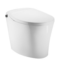 MOEN 摩恩 优诗美地系列 SW1114C 智能马桶 304mm坑距