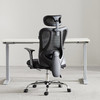 HBADA 黑白调 E101 人体工学椅 黑色 标准款