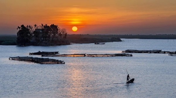 白云边白酒_李白问:游玩洞庭湖喝什么酒?将船买酒——白云边多少钱-什