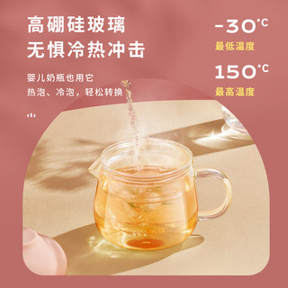 物生物玻璃泡茶壶家用养生煮花茶具耐高温水壶套装过滤茶水分离杯