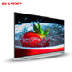 SHARP 夏普 120英寸原装夏普屏4K超高清液晶电视机