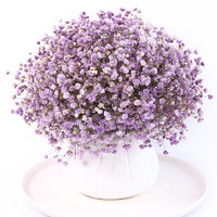 玛格香 满天星干花+椭圆花瓶 紫色