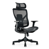 Ergojust 爱高佳 办公电脑椅 人体工学椅 家用久坐网面书房椅子 R1尼龙加纤塑胶