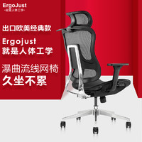 Ergojust 爱高佳 R1 R3 R5 办公电脑椅 人体工学椅 家用久坐网面书房椅子 R3精抛光铝合金（米字背仿生设计，椅背可升降）