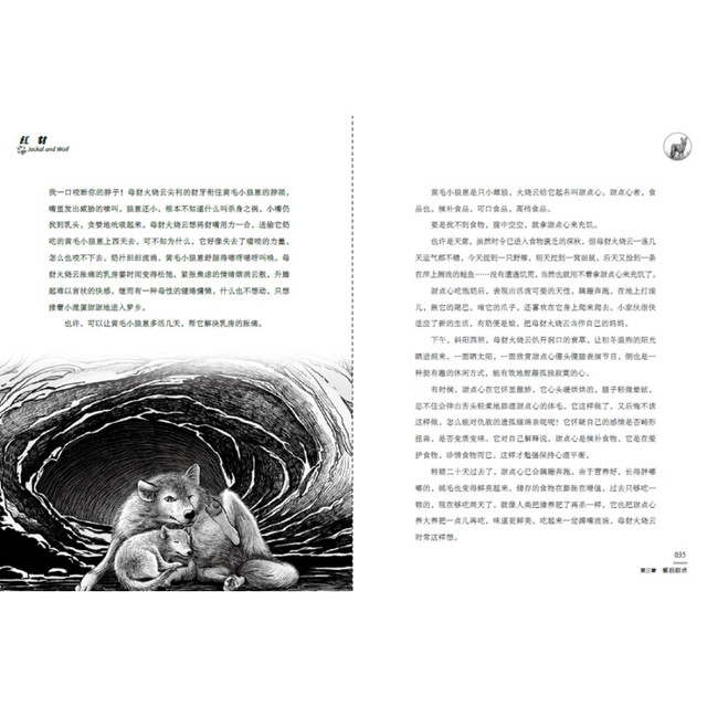 《沈石溪动物小说·红豺》（经典爱藏版、精装）