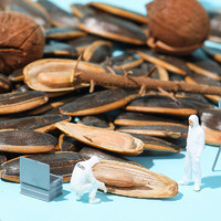 ChaCheer洽洽 焦糖山核桃五香味500g瓜子葵花籽仁坚果炒货零食 焦糖500g*1袋