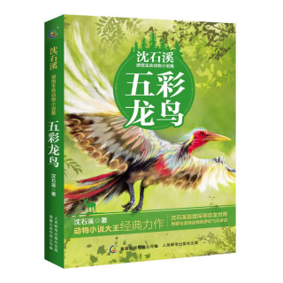 沈石溪动物小说感悟生命书系五彩龙鸟