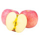 PLUS会员：寻食者说 洛川苹果 含箱10斤（单果70-75mm）