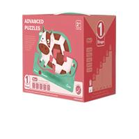 DALA 达拉 阶梯系列 1阶启蒙认知 42片