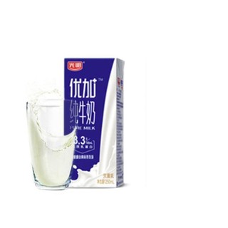 Bright 光明 优加 3.3g乳蛋白 纯牛奶 250ml*24盒