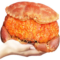 首鲜道 螃蟹原装超大面包蟹活鲜鲜活大螃蟹熟冻蟹类生鲜海鲜