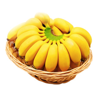 寻味君 广西小米蕉香蕉 3斤