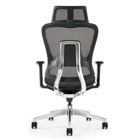 Ergojust 爱高佳 R3 人体工学椅