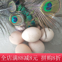帆儿庄园 新鲜孔雀食用蛋月子蛋6枚 6枚礼盒装