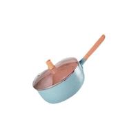 WeiZhiXiang 味之享 奶锅(20cm、铝合金、天蓝、带盖)