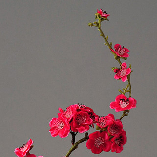 帕美居 陶瓷花瓶+红梅花
