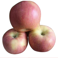 cuntianxiulin 村田秀林 陕西 红富士苹果 2.5kg