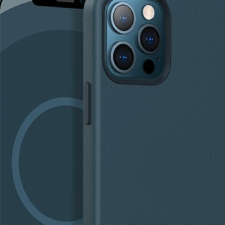 凯宠 iPhone 12 皮质手机壳 动画款 靛海蓝色