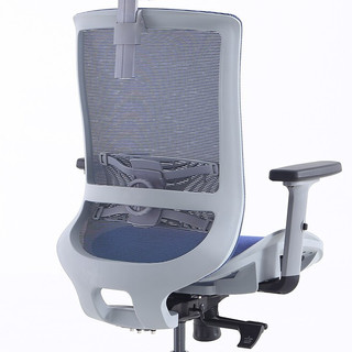 LIANSHU 恋树 F08 人体工学电脑椅 蓝色+灰色 标准版