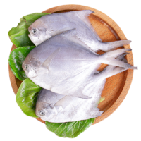 好拾味 白鲳鱼500g\/5-7条 冷冻海鲜水产鳊鱼银鲳鱼生鲜鱼类
