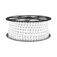 Lighting 雷士 NVC 2835 LED霓虹灯带 正白光 60珠 1m 不含连接头