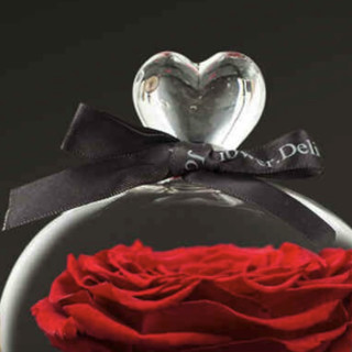 JoyFlower 嫣红玫瑰 你是我的小确幸 玻璃罩永生花 嫣红 玫瑰款 礼盒装