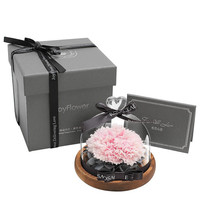 JoyFlower 嫣红玫瑰 你是我的小确幸 玻璃罩永生花 粉色 康乃馨款 礼盒装
