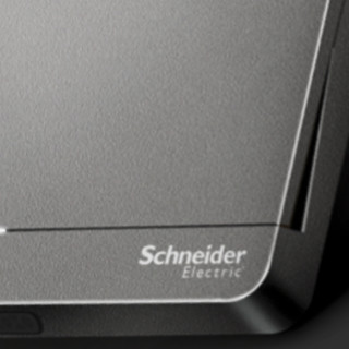 Schneider Electric 施耐德电气 AvatarOn绎尚系列 一开双控开关 荧光灰 LED款