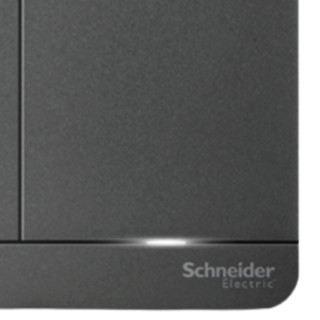 Schneider Electric 施耐德电气 AvatarOn绎尚系列 双开双控开关 荧光灰 LED款