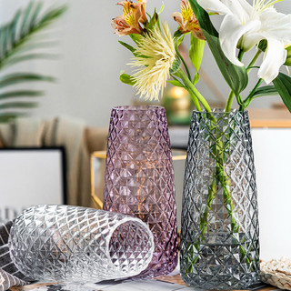 鹏创欧式创意竖棱玻璃花瓶透明水养鲜花插花电镀花瓶客厅摆件  22cm方格七彩款