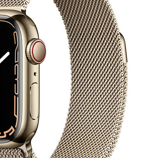 Apple 苹果 Series 7 耐克款 智能手表 45mm 蜂窝版 金色不锈钢表壳 金色米兰尼斯表带（血压、血氧）