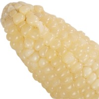 禾久 鲜食白糯玉米 2.08kg