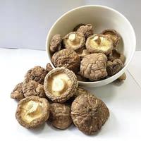 新货香菇肉厚 香菇干货500g净重300g 香菇500g