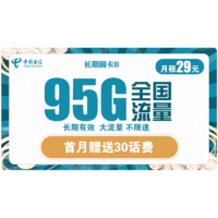中国电信 长期翼卡B 29元包95GB全国流量卡