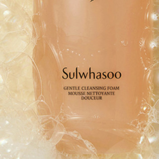 Sulwhasoo 雪花秀 顺行柔和洁颜泡沫 200ml