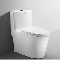 ANNWA 安华 家用虹吸式座便器 NL13001M