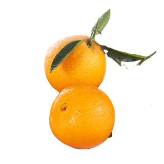誉福园 伦晚春橙 大果 单果果径75-80mm 2.5kg