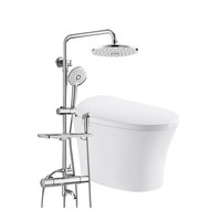 ARROW 箭牌锁具 即热式智能马桶花洒套装 305mm（1113+3352）