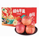 正宗山东烟台栖霞红富士苹果 礼盒带箱10斤装 净重8.5-9斤