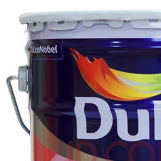 Dulux 多乐士 金装·强化功能系列 A8153 五合一净味乳胶漆 18L 单桶装