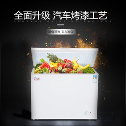BaiXue 白雪 BD/C-237DS商用家用冷柜 冷冻冷藏卧式冰柜节能静音顶开冰箱