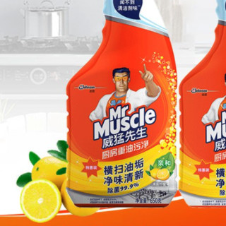 Mr Muscle 威猛先生 厨房重油污净 650g+650g替换装 清爽柠檬