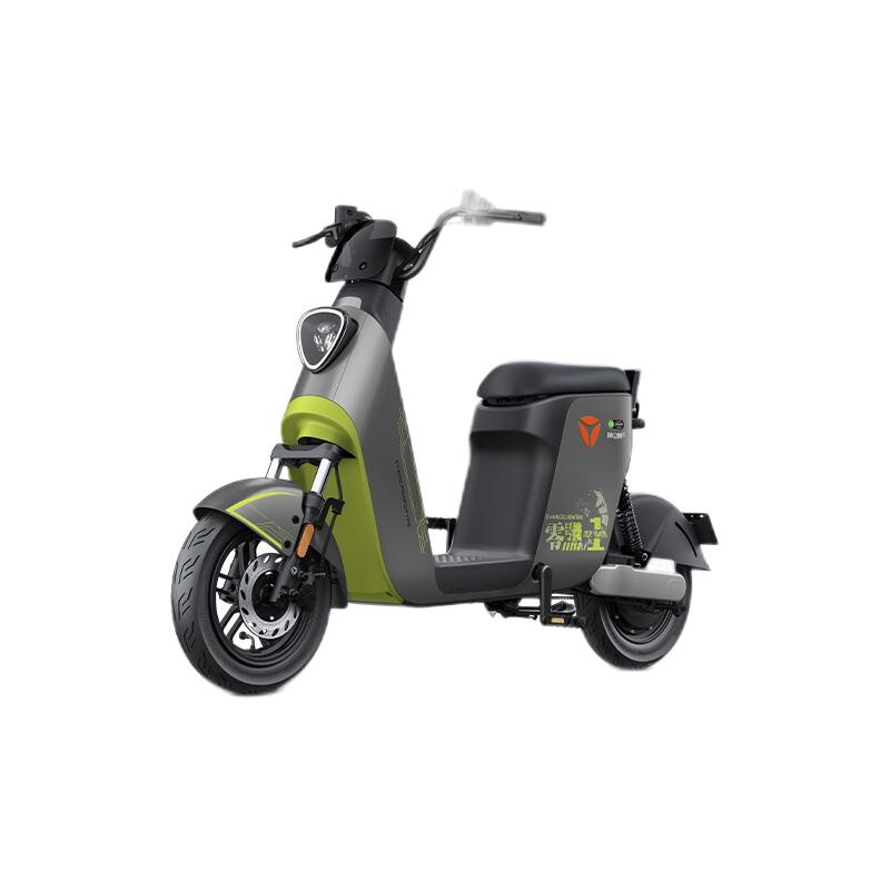 sunra新日gt2g电动自行车tdt0520z48v20ah锂电池灰色