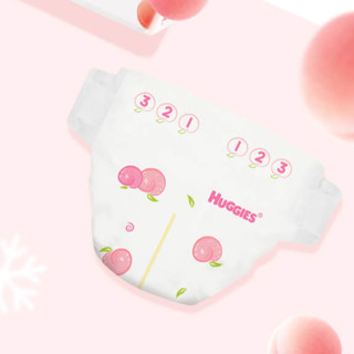 HUGGIES 好奇 铂金装系列 纸尿裤 NB84片*2包