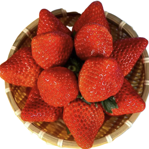 今年的丹东草莓怎么黑不溜瞅的？