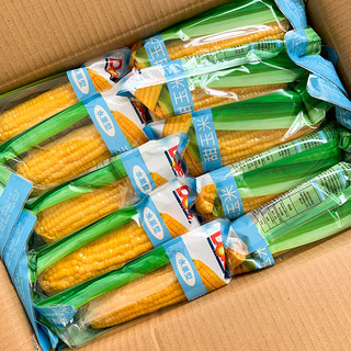 都乐水果甜玉米棒8根 真空包装开袋即食Dole非转基因玉米棒子