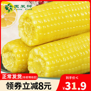 Corn God 玉米神 糯玉米系列 金糯甜玉米 220g*10袋