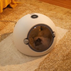 宠物烘干机猫咪烘干箱全自动家用小型犬洗澡吹干毛神器静音吹水机